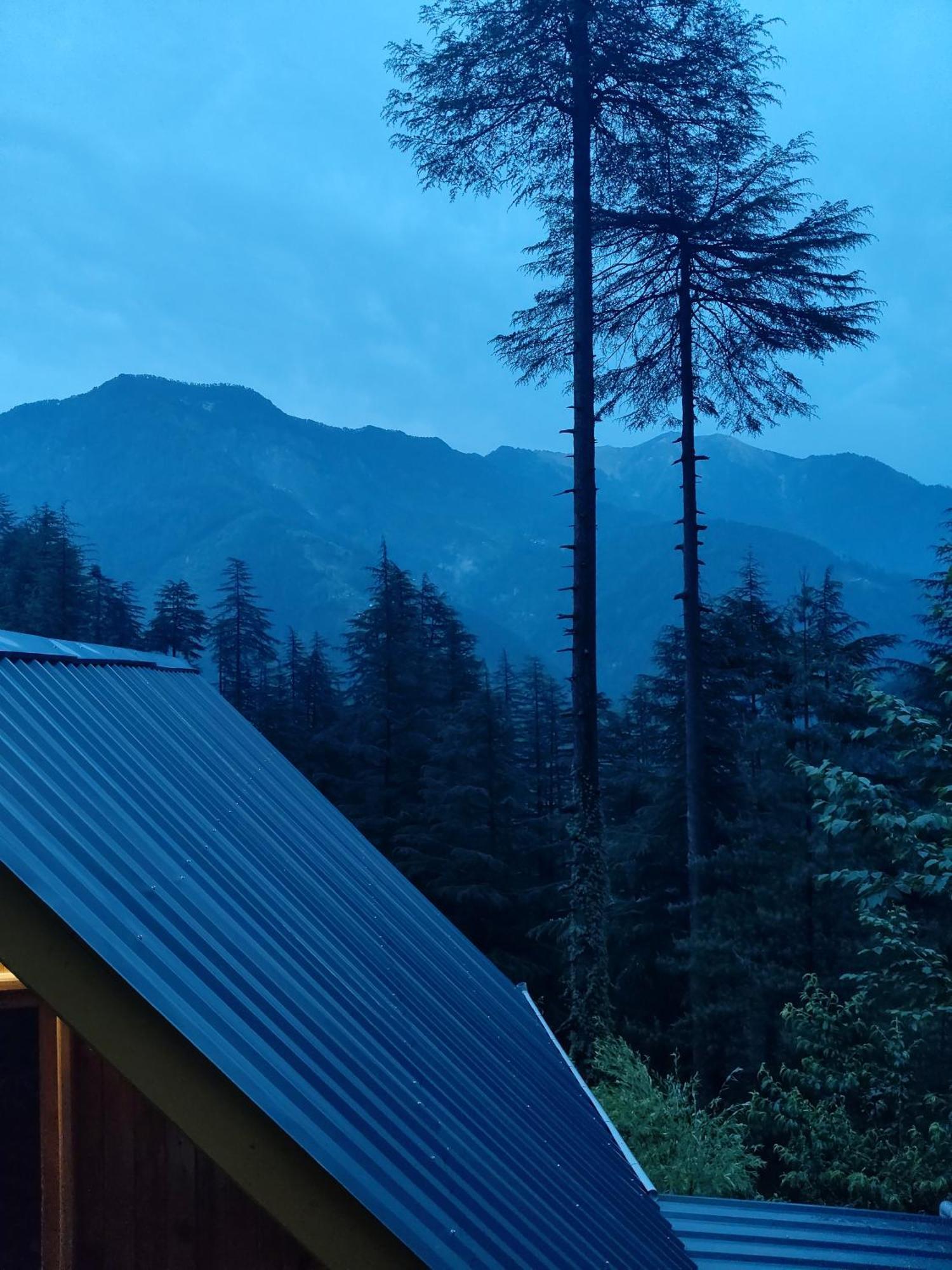 Forest View Cottage Jibhi Eksteriør bilde